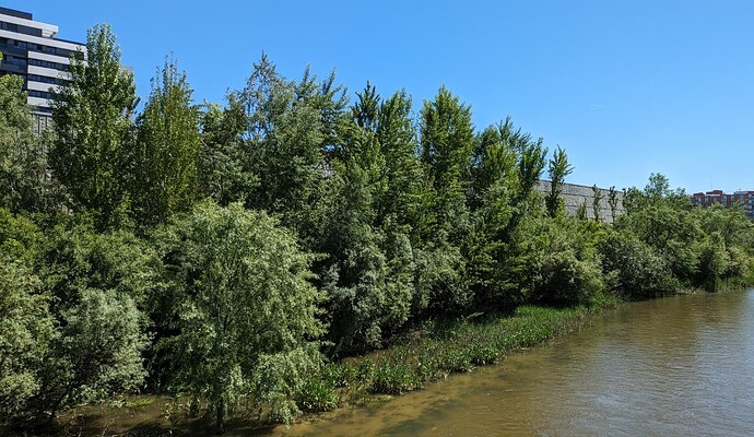 PXL_20240417_123138185