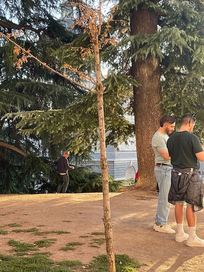 Imagen de WhatsApp 2025-09-25 a las 21.54.51_9f523b70