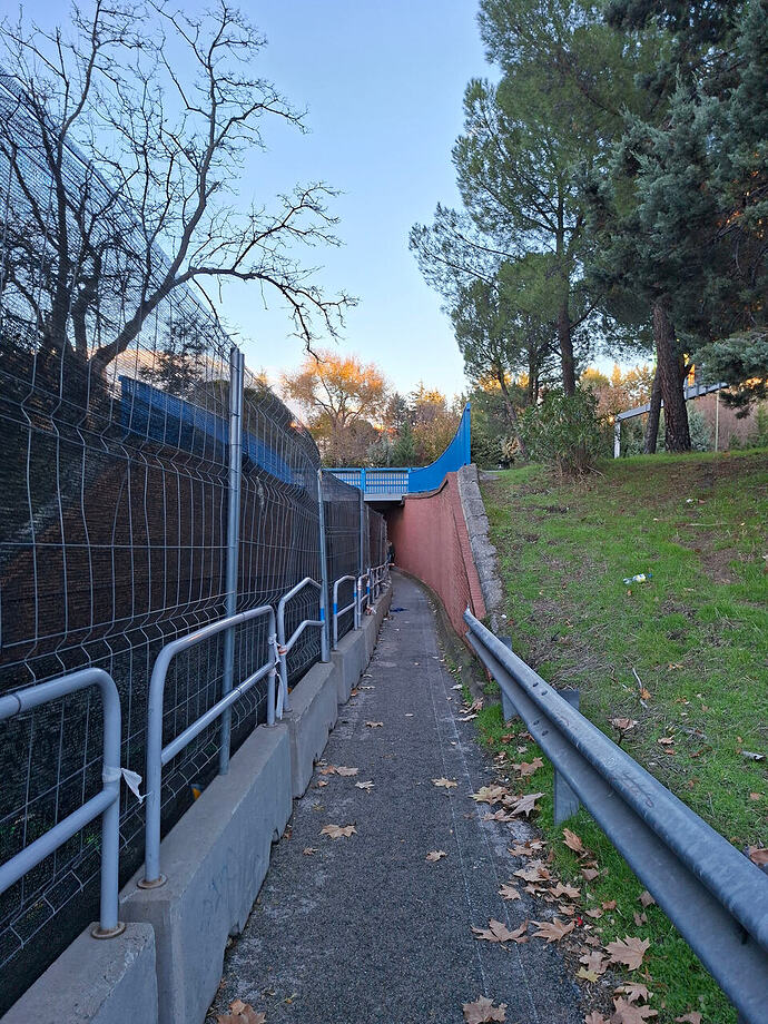 56209