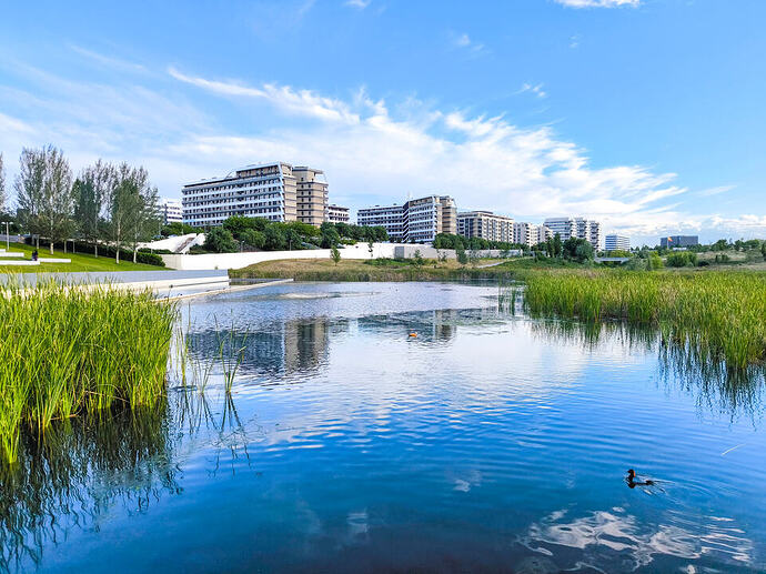 Laguna de Valdebebas