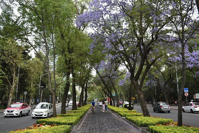 NIK_2687