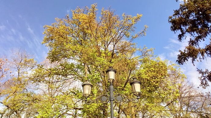 15 Campo del Moro (34)_Easy-Resize.com