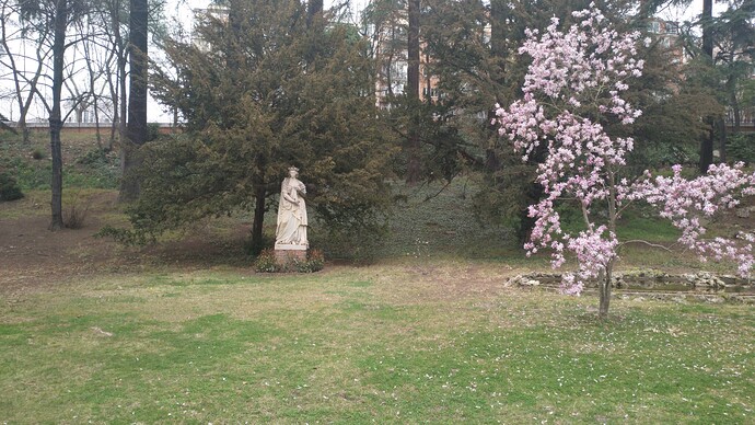 MVIMG_20220318_114603