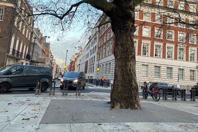 Grosvenor-Square-tree-pit-1-800x533