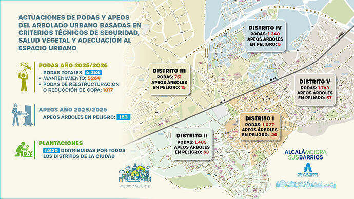 Actuaciones arbolado