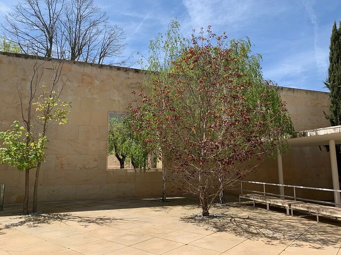 zamora 6