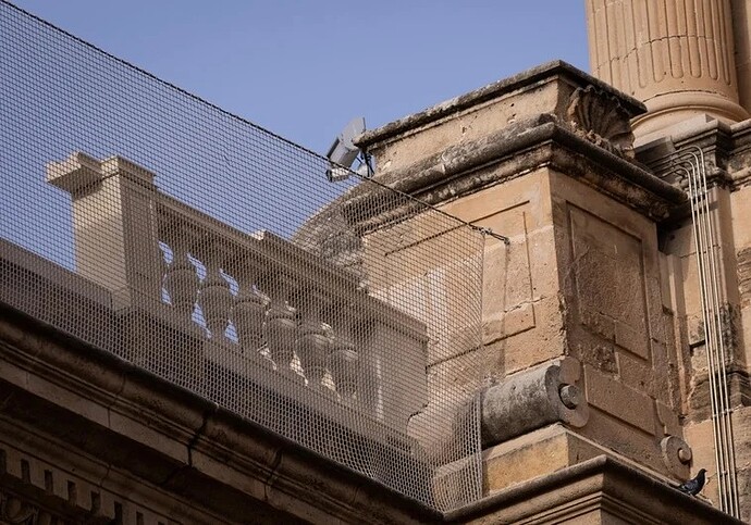 17565434940532859024161339171444