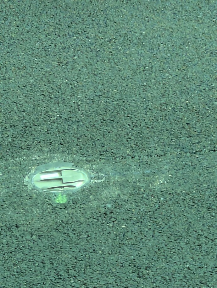 1000039156