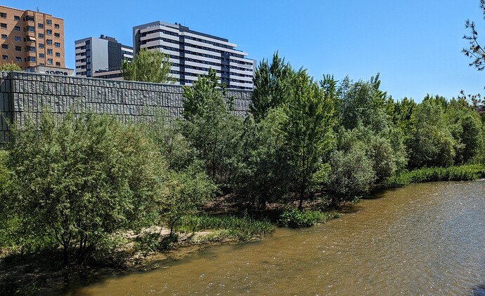 PXL_20240417_122958190