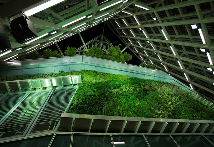 torredecristalverticalgardenbypatrickblancatnight