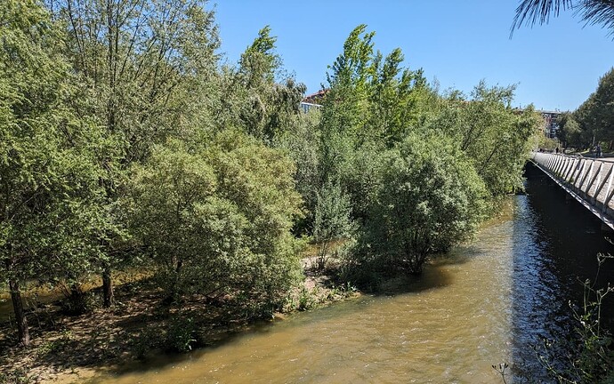 PXL_20240416_124120087.MP~2