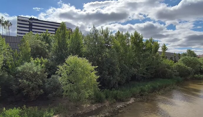 calderon 2