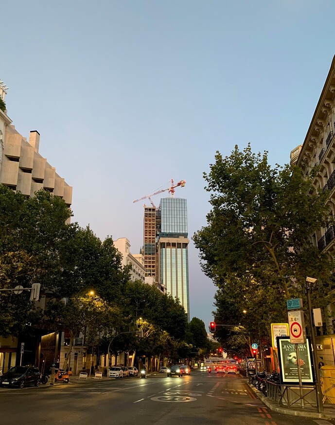 colón4