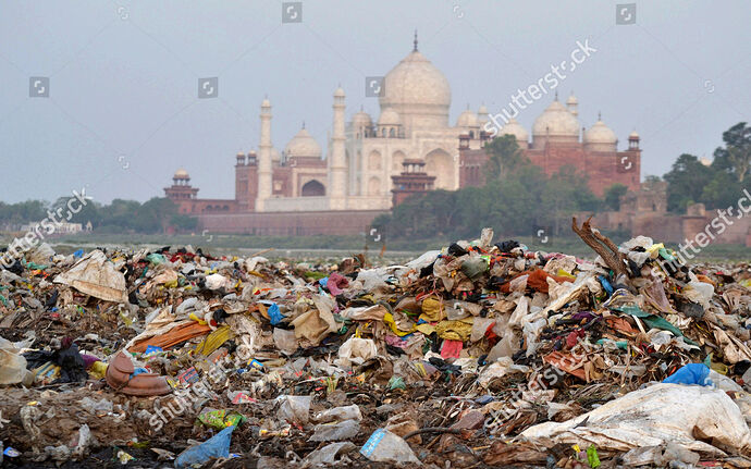 Shutterstock_9669290b