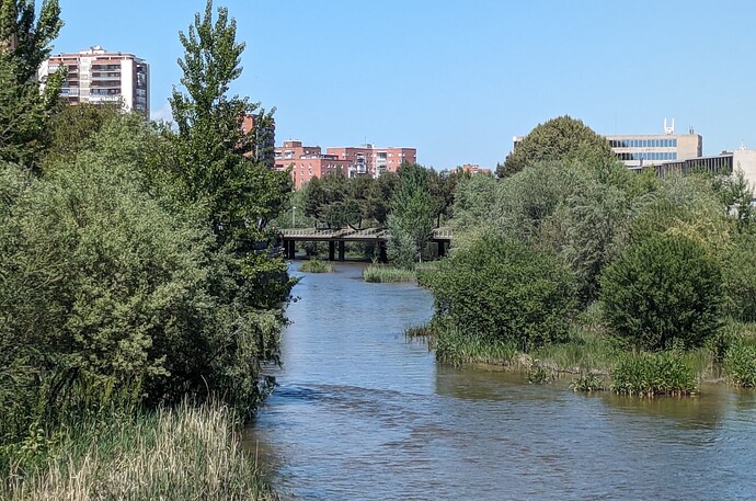 PXL_20240416_123257527