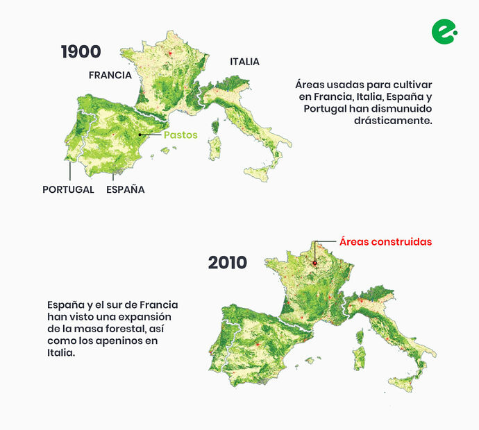 recuperacion-bosques-espana-portugal-francia-italia-1138x1024