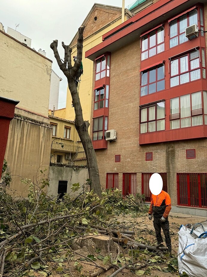 e4b2aaa5-178c-427b-a6c6-8d8e20ea096b