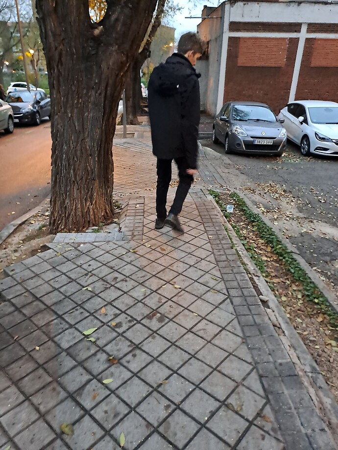 1000071266