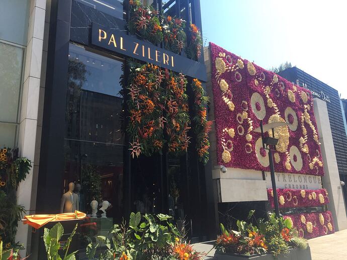 Pal-zileri