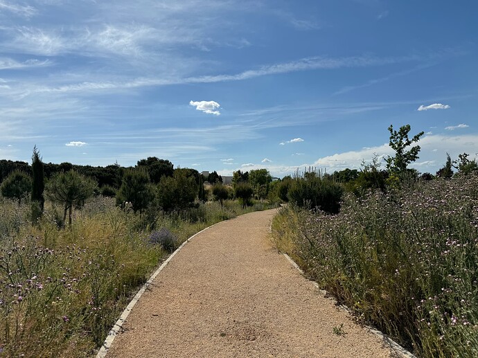 Zona verde Las Retamas