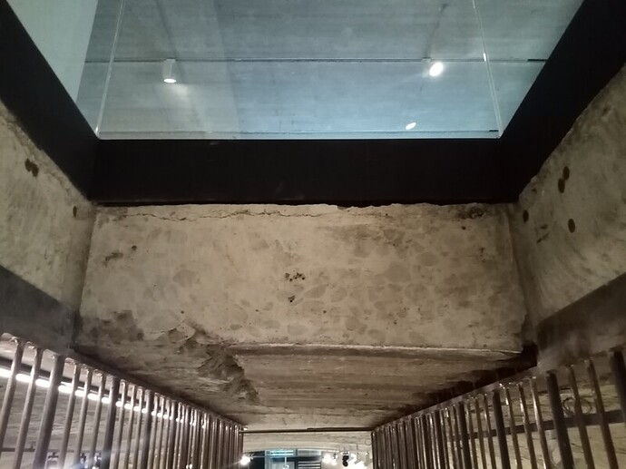 IMG_20230328_123530_Easy-Resize.com