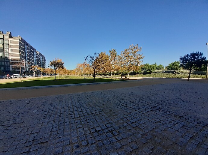 20221105_113021