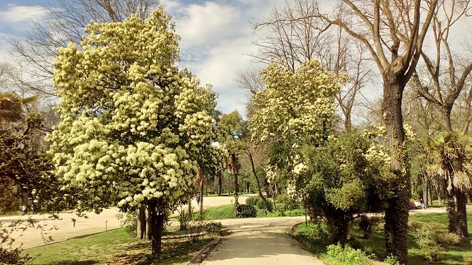 13 Campo del Moro (32)_Easy-Resize.com