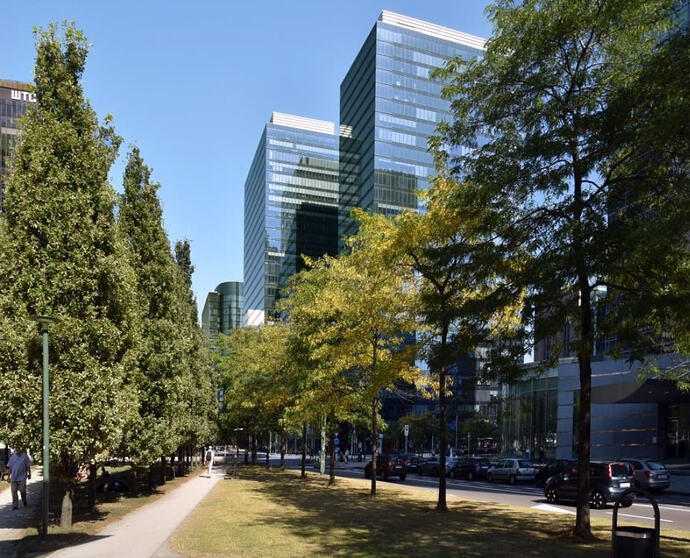 Screenshot_20260217_192927_Google Earth