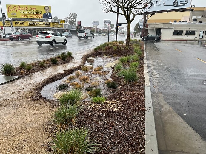 LASAN_Victory 5W Rain Garden-1200x900-e339a72 (1)