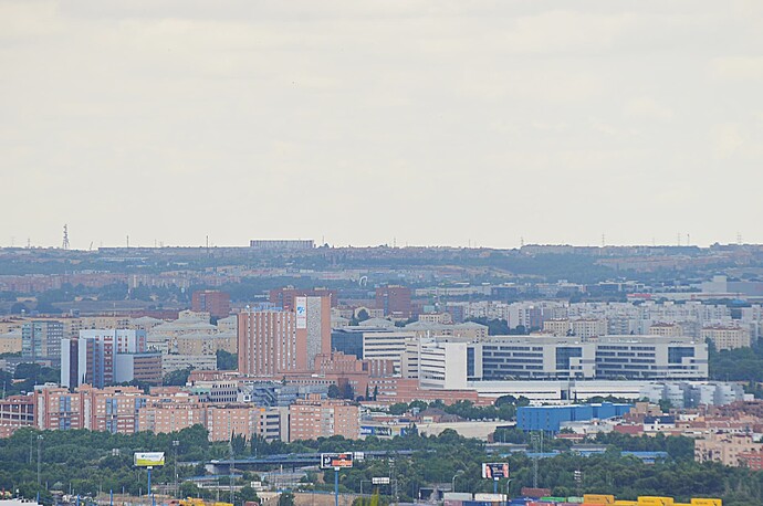 DSC_6296