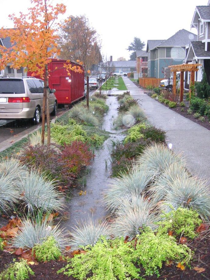 Seattle_unknown