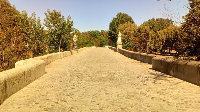1749, Puente de San Fernando, Jaime Bort y Meliá (1)_Easy-Resize.com