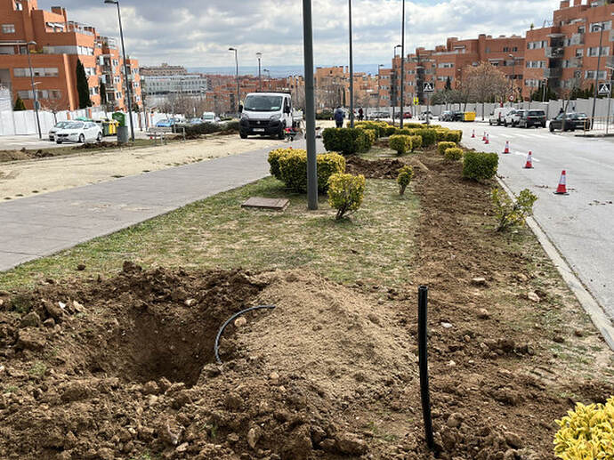plantacionarboles23_Easy-Resize.com_
