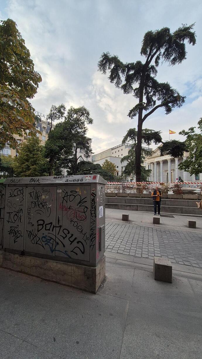 congreso