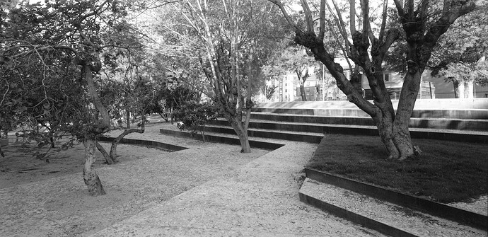 parque_14_higueras