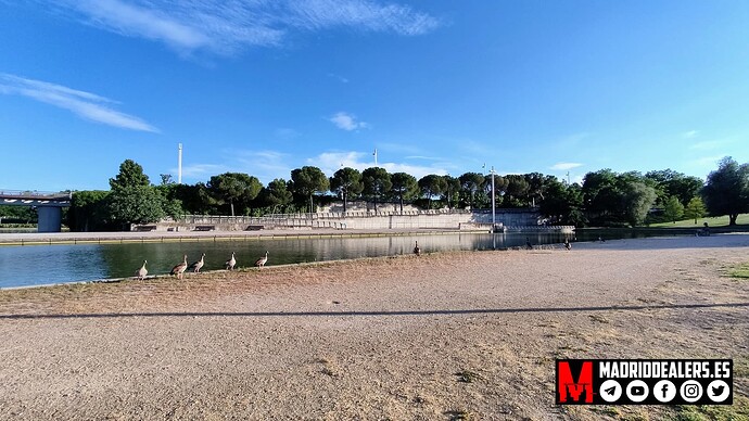 IMG_20220606_201218