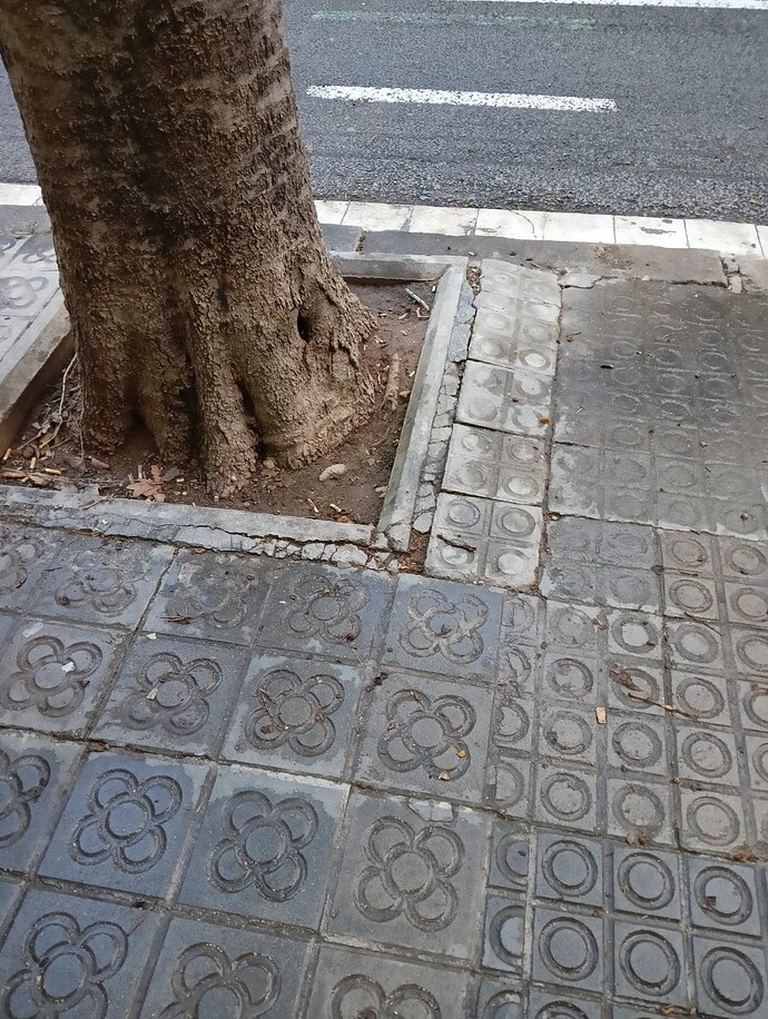 Imagen de WhatsApp 2025-03-22 a las 21.19.18_c32f4fa5