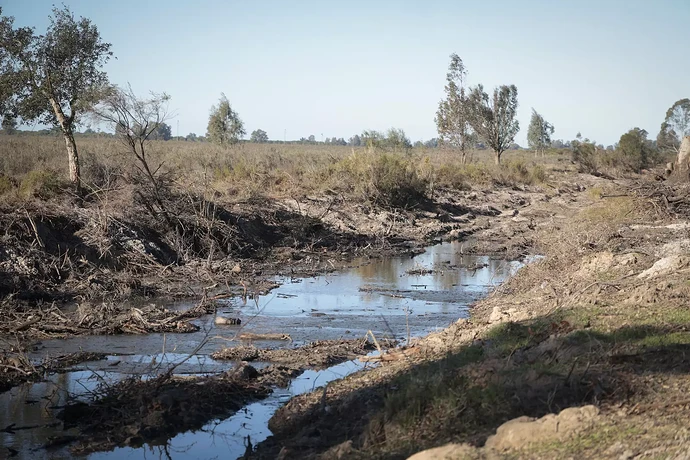 69b39356-df73-4beb-8d95-59a6f465c7b2_source-aspect-ratio_1600w_0