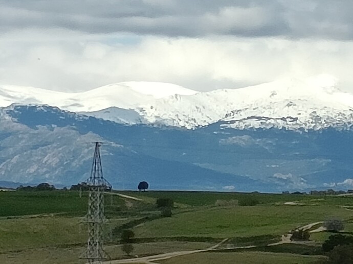 IMG20250325133642