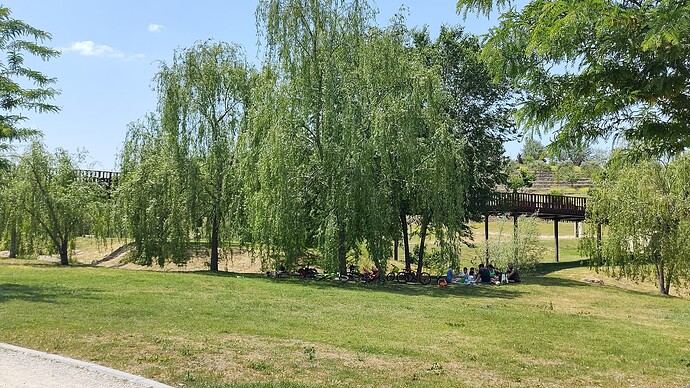 IMG_20220516_140126104_HDR