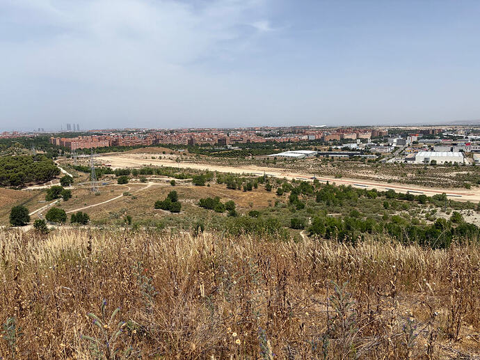 IMG_6829
