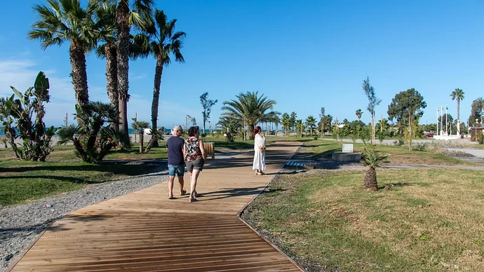 8ac90716-0120-4581-9373-3e32e89816ec_16-9-aspect-ratio_1600w_0