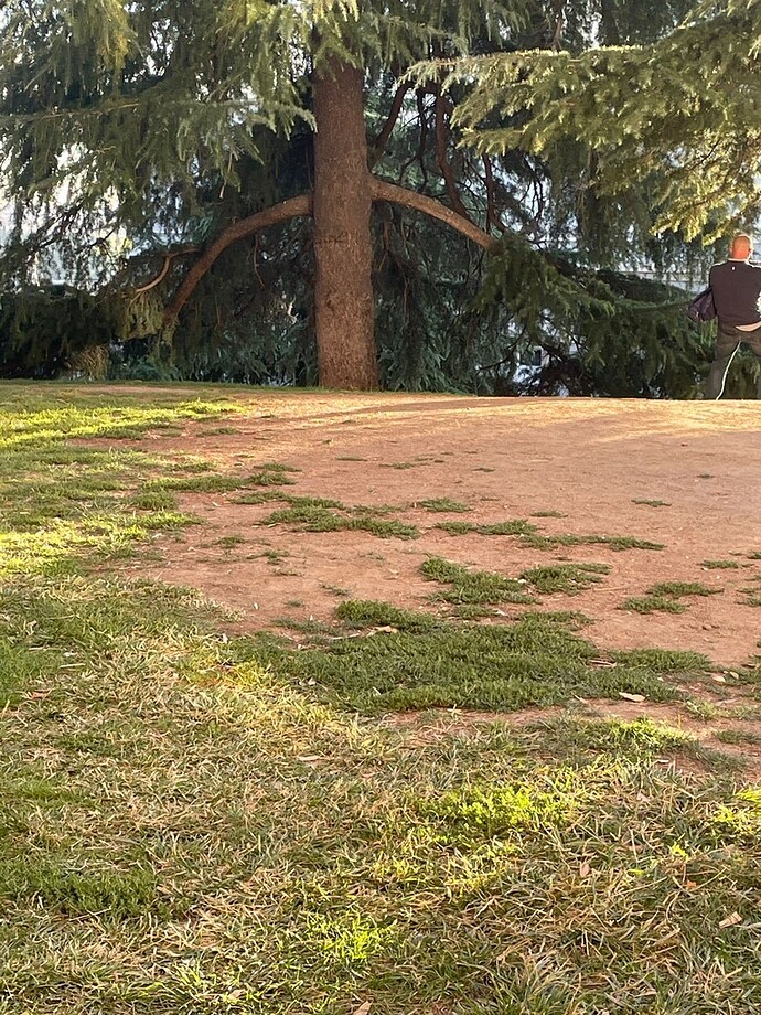 Imagen de WhatsApp 2025-09-25 a las 21.54.51_eac4e823