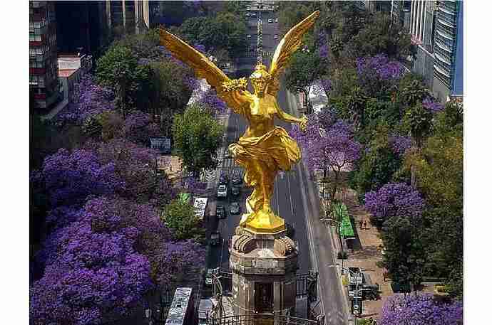 angelindependenciaaereafrontal