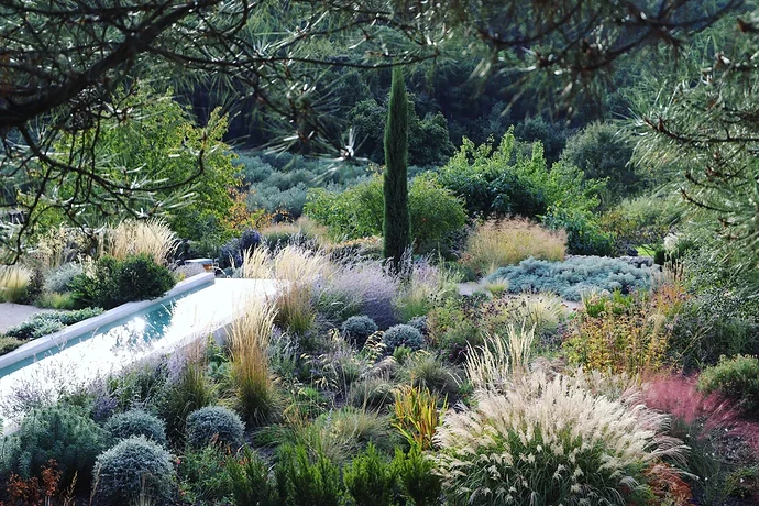 8. Jardín Valle del Tiétar