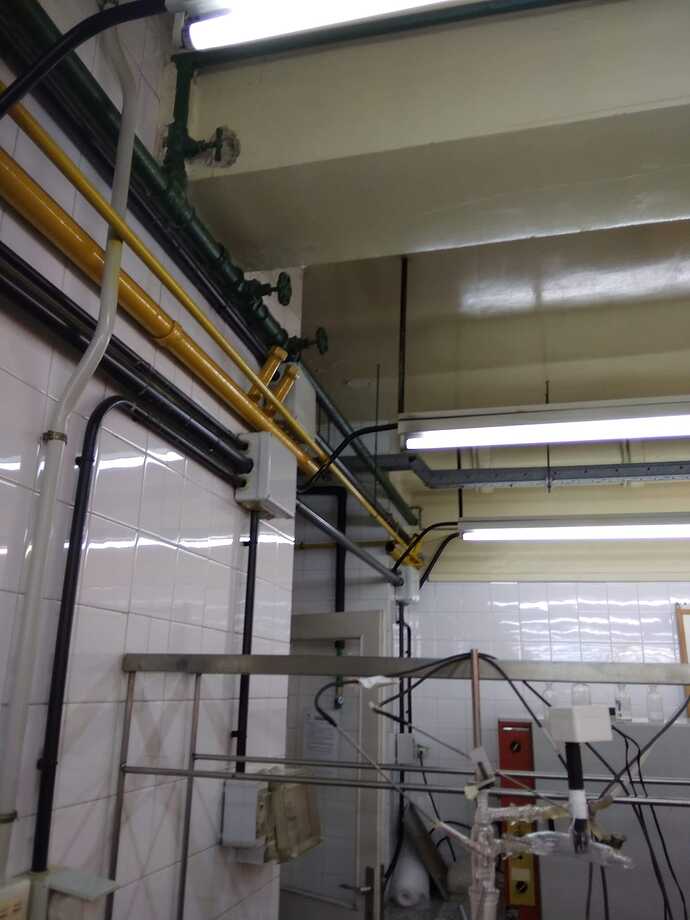 WhatsApp Image 2026-04-07 at 01.01.29