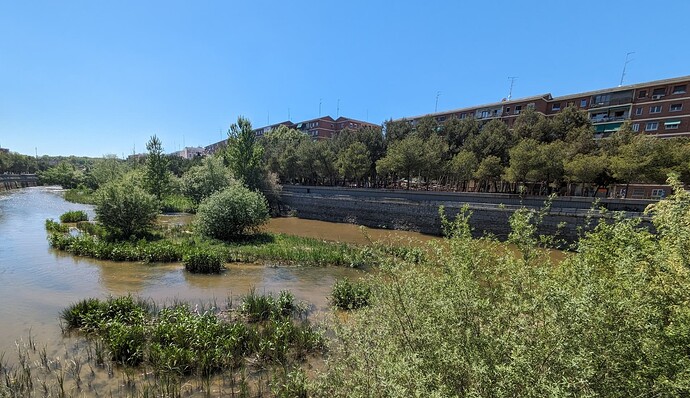 PXL_20240416_123558779