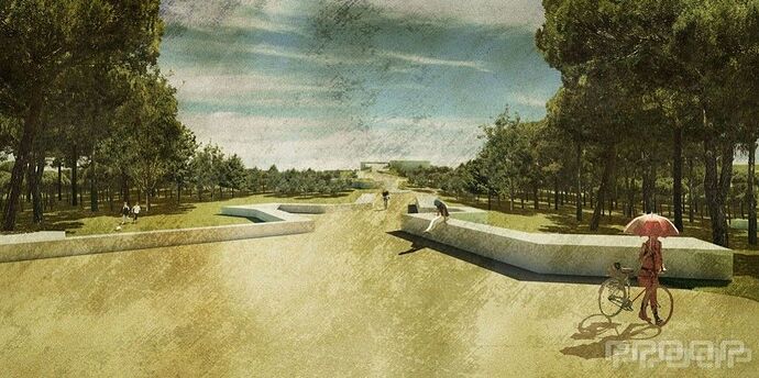 Parque-Central-Valdebebas-Sol-y-Sombra-5