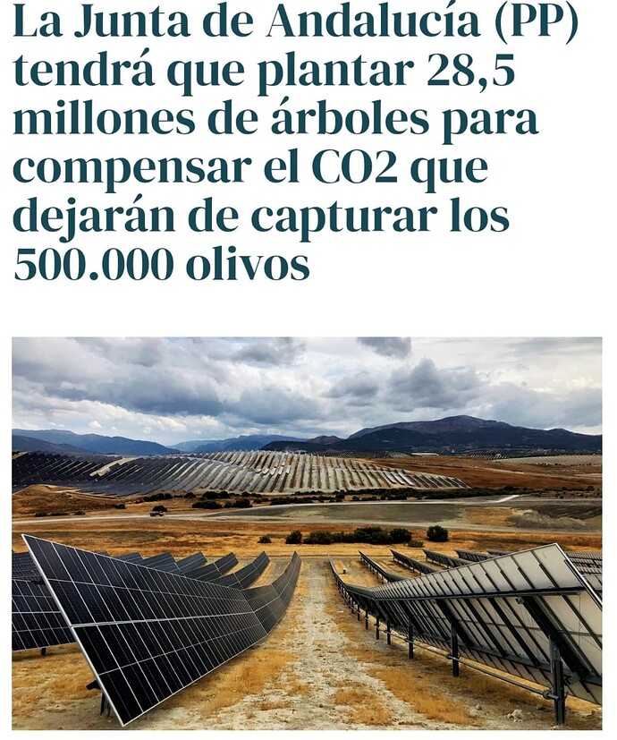Captura de pantalla 2025-05-17 a las 16.17.12
