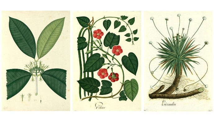 se-utilizo-una-tecnica-refinada-en-el-uso-cromatico-de-rojos-y-verdes_1_1000x575